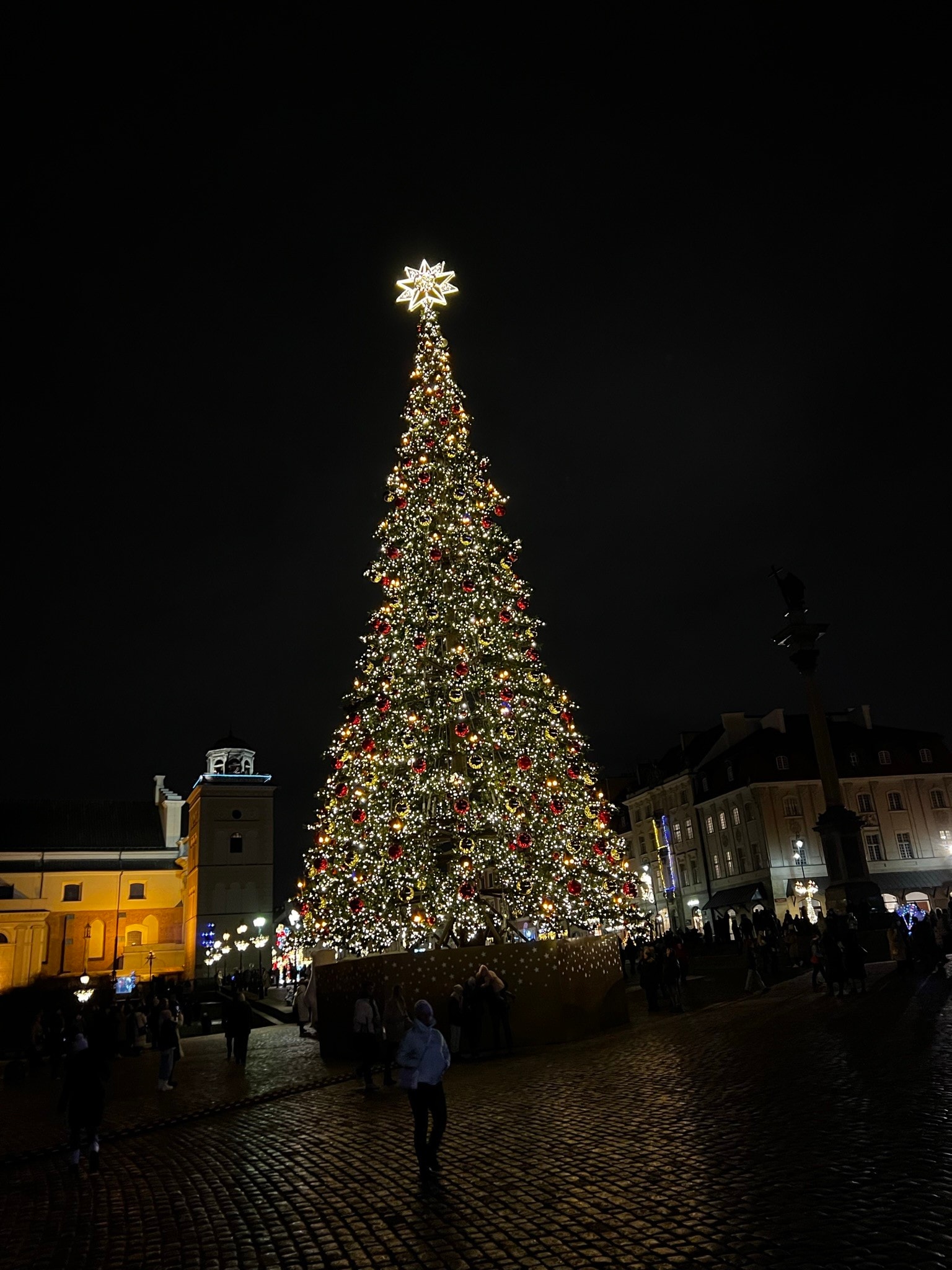 Christmas Tree on Castle Square, Warsaw Old Town